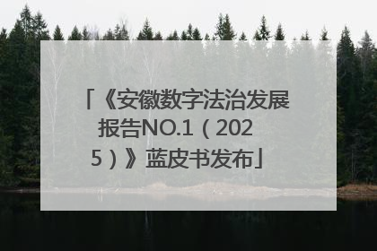《安徽数字法治发展报告NO.1（2025）》蓝皮书发布