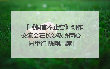 《铜官不止窑》创作交流会在长沙政协同心园举行 陈刚出席