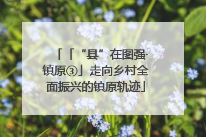 「“县”在图强·镇原③」走向乡村全面振兴的镇原轨迹