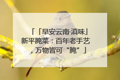 「早安云南·滇味」新平腌菜：百年老手艺，万物皆可“腌”