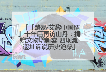 「路易·艾黎中国情」十年后再访山丹：捐赠文物增新容 四坝滩遗址诉说历史沧桑