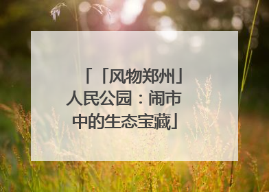 「风物郑州」人民公园：闹市中的生态宝藏