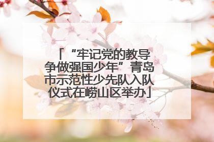 “牢记党的教导 争做强国少年”青岛市示范性少先队入队仪式在崂山区举办