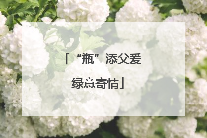 “瓶”添父爱 绿意寄情