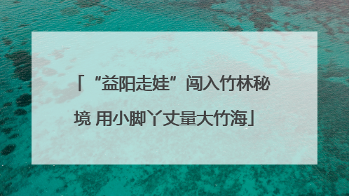 “益阳走娃”闯入竹林秘境 用小脚丫丈量大竹海