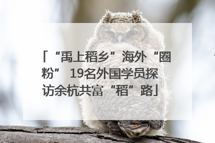 “禹上稻乡”海外“圈粉” 19名外国学员探访余杭共富“稻”路