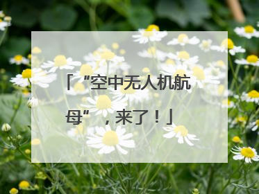 “空中无人机航母”，来了！