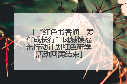 “红色书香润，爱伴成长行”凤城镇福蕾行动计划红色研学活动圆满结束