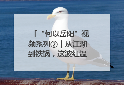 “何以岳阳”视频系列②｜从江湖到铁锅，这波红温我先炫为敬！