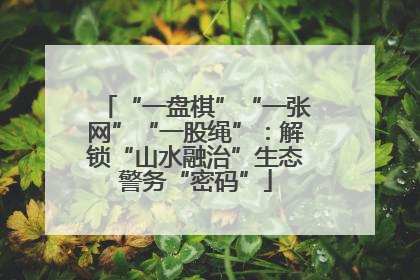 “一盘棋”“一张网”“一股绳”：解锁“山水融治”生态警务“密码”