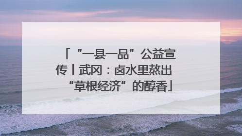 “一县一品”公益宣传丨武冈：卤水里熬出“草根经济”的醇香