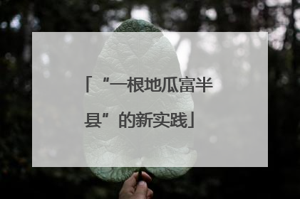 “一根地瓜富半县”的新实践