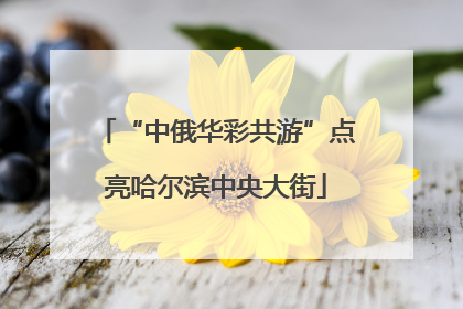 “中俄华彩共游”点亮哈尔滨中央大街