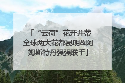“云荷”花开并蒂 全球两大花都昆明&阿姆斯特丹强强联手