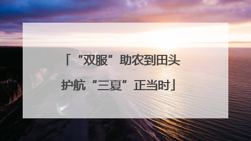 “双服”助农到田头 护航“三夏”正当时