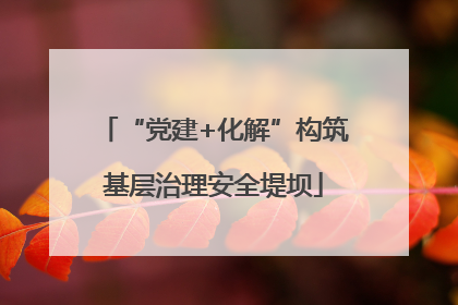 “党建+化解”构筑基层治理安全堤坝