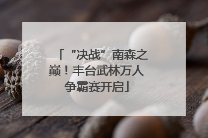 “决战”南森之巅！丰台武林万人争霸赛开启