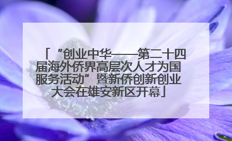 “创业中华——第二十四届海外侨界高层次人才为国服务活动”暨新侨创新创业大会在雄安新区开幕