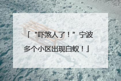 “吓煞人了！”宁波多个小区出现白蚁！