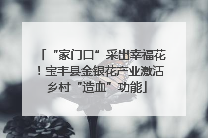 “家门口”采出幸福花！宝丰县金银花产业激活乡村“造血”功能