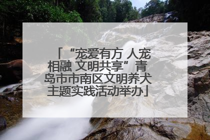 “宠爱有方 人宠相融 文明共享”青岛市市南区文明养犬主题实践活动举办