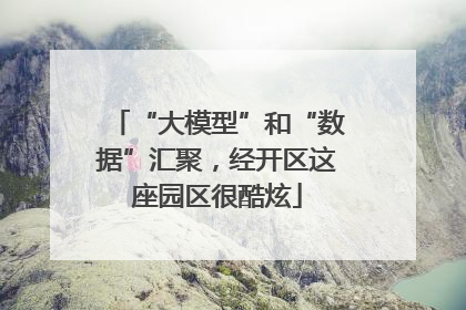 “大模型”和“数据”汇聚，经开区这座园区很酷炫