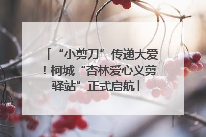 “小剪刀”传递大爱！柯城“杏林爱心义剪驿站”正式启航