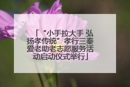 “小手拉大手 弘扬孝传统”孝行三秦爱老助老志愿服务活动启动仪式举行