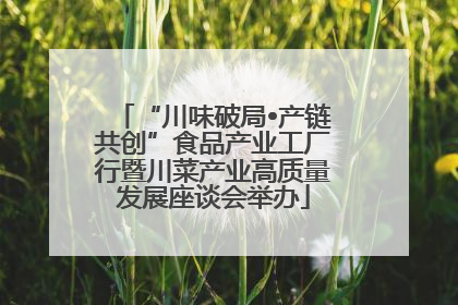 “川味破局•产链共创”食品产业工厂行暨川菜产业高质量发展座谈会举办