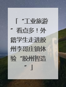 “工业旅游”看点多！外籍学生走进胶州李哥庄镇体验“胶州智造”