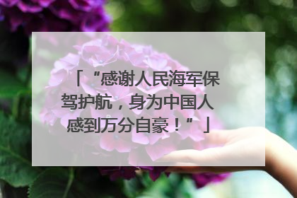 “感谢人民海军保驾护航，身为中国人感到万分自豪！”