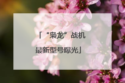 “枭龙”战机最新型号曝光