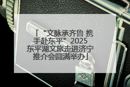 “文脉承齐鲁 携手赴东平”2025东平湖文旅走进济宁推介会圆满举办