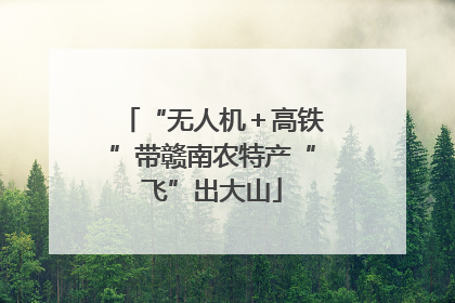 “无人机＋高铁”带赣南农特产“飞”出大山