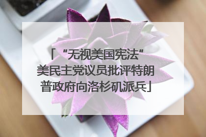 “无视美国宪法” 美民主党议员批评特朗普政府向洛杉矶派兵