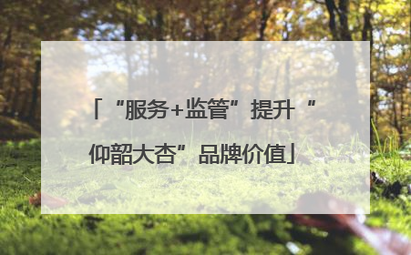 “服务+监管”提升“仰韶大杏”品牌价值