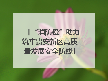 “消防橙”助力筑牢贵安新区高质量发展安全防线