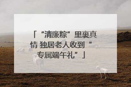 “清廉粽”里裹真情 独居老人收到“专属端午礼”