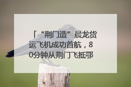“荆门造”晨龙货运飞机成功首航，80分钟从荆门飞抵鄂州花湖机场