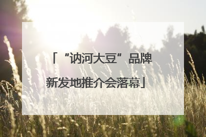 “讷河大豆”品牌新发地推介会落幕
