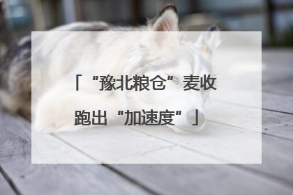 “豫北粮仓”麦收跑出“加速度”