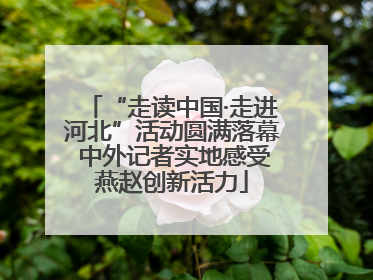 “走读中国·走进河北”活动圆满落幕 中外记者实地感受燕赵创新活力