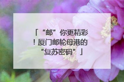 “邮”你更精彩！厦门邮轮母港的“复苏密码”