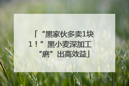 “黑家伙多卖1块1！”黑小麦深加工“磨”出高效益
