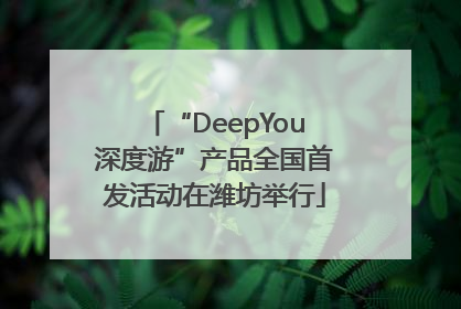 “DeepYou深度游”产品全国首发活动在潍坊举行