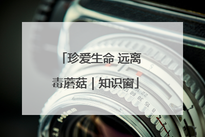 珍爱生命 远离毒蘑菇｜知识窗