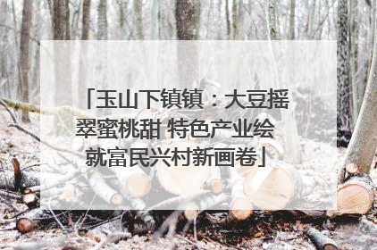 玉山下镇镇：大豆摇翠蜜桃甜 特色产业绘就富民兴村新画卷