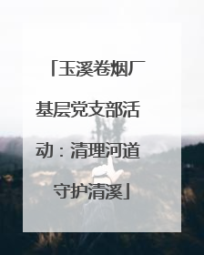 玉溪卷烟厂基层党支部活动：清理河道 守护清溪