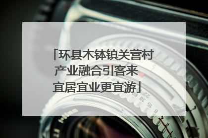 环县木钵镇关营村 产业融合引客来 宜居宜业更宜游