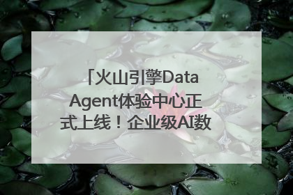 火山引擎Data Agent体验中心正式上线！企业级AI数据专家触手可及